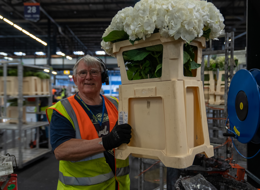 Voor wie is dit werk?